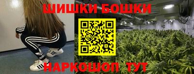 индика Гулькевичи