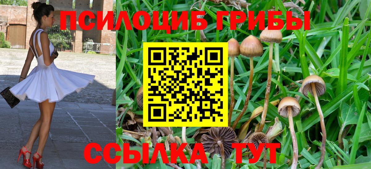 Галлюциногенные грибы мухоморы Донецк