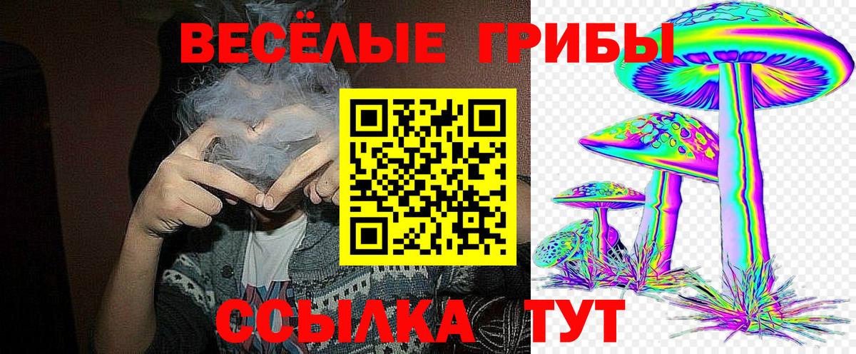 Галлюциногенные грибы прущие грибы  Вход с VPN  Донецк 